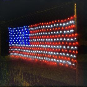 Flag Net Light (Option: US-110V)