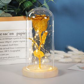 Mothers Day Gift Enchanted Forever Rose Flower In Glass LED Light Home Decoration (Option: Bright gold)