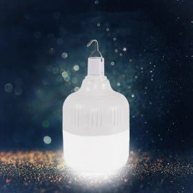 Rechargeable Bulb Night Market Lighting Artifact Stall Lamp (Option: A-USB-100W)