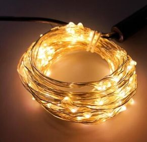 Copper wire string lights (Option: Warm white-US)