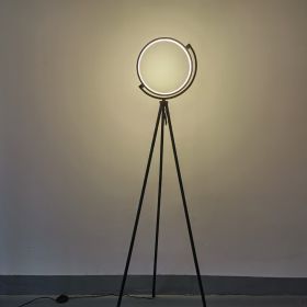 LED Light Supplementary Aluminum Floor Lamp Study Decorative Lamp (Option: Warm light-Black lamp body W-AU)